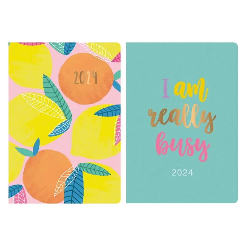 Eco Fully Recyclable WTV A5 Diary 2024-2025 - Assorted Planner Organiser Schedule Environmentally Friendly